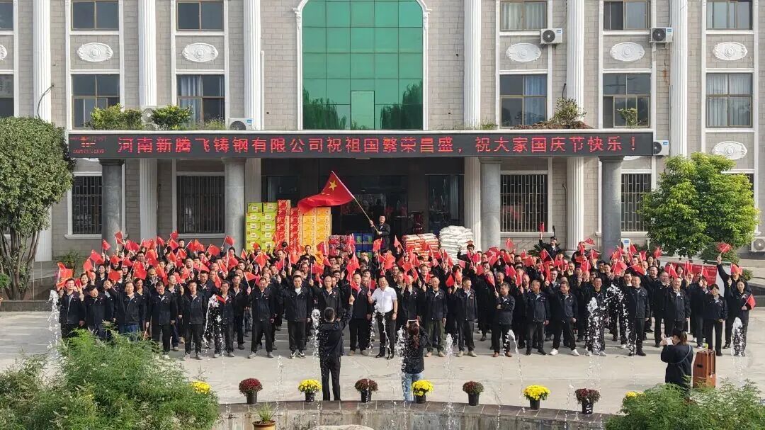 河南新腾飞铸钢有限公司10